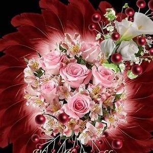 Meet your Posher, Ann